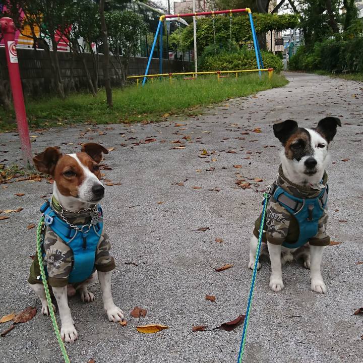 9e184258 794e 4d74 81bb 17038302dd2d 1602631970567