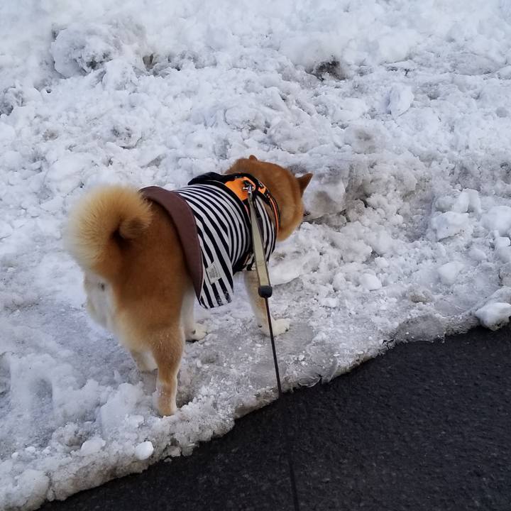 9e1865ba 3d2b 432a 82d8 12a94e2c55af 1643609127781