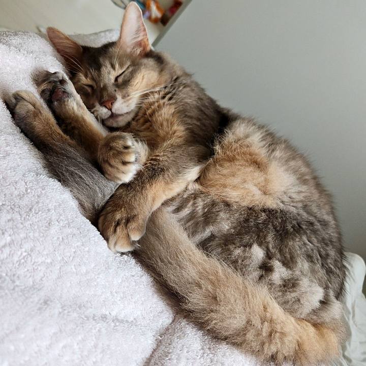 9e186693 f6f6 43da 8831 227f1f9b7f37 1726327287874