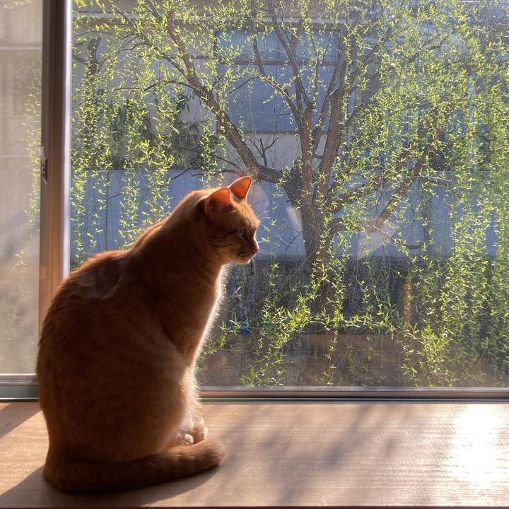 9e187f60 b07b 458d 8562 1d3070a570a1 1678921075764