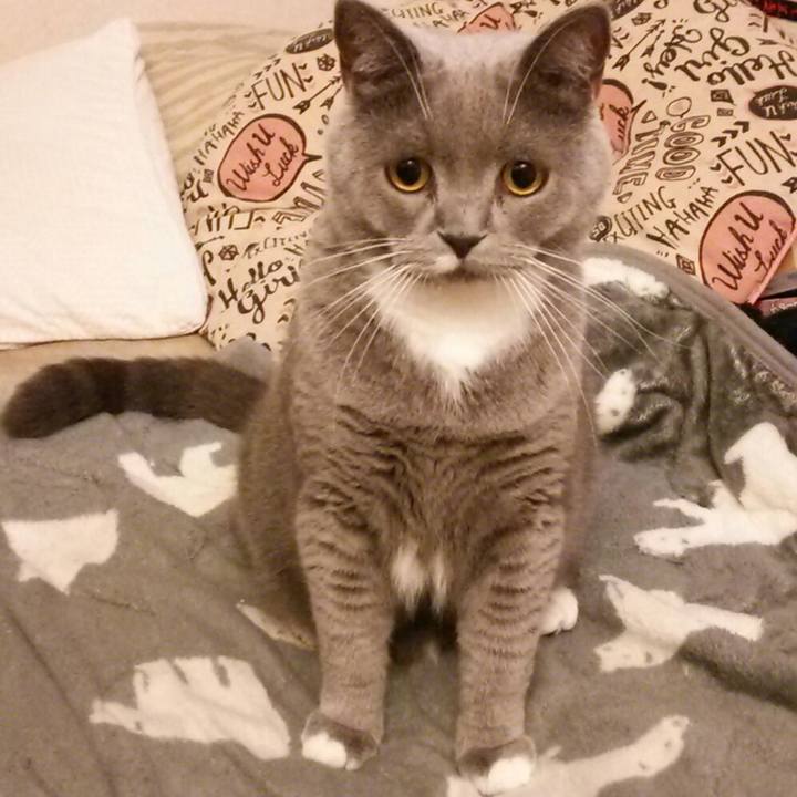 9e188ff4 eb11 4704 8b33 95c47e249ee1 1563676094045