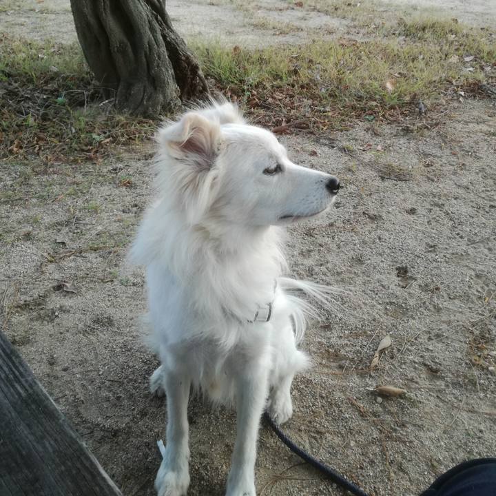 9e18abc3 ee91 400e 8989 7a9cadb59f12 1510820319074