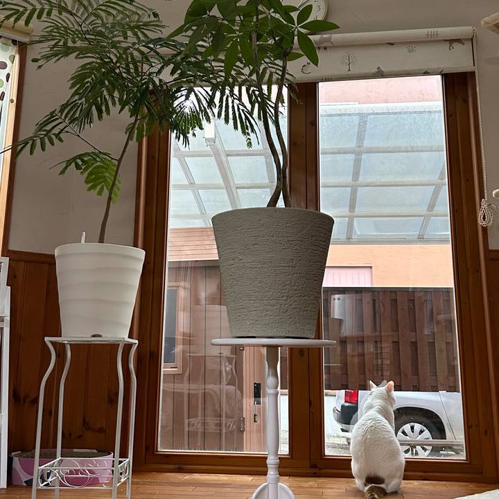 9e18ecf4 b28f 43a5 9f03 a55131fdf680 1679094541224