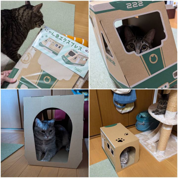 9e18f975 aadf 4dc9 93d4 eddd043968de 1723777671857