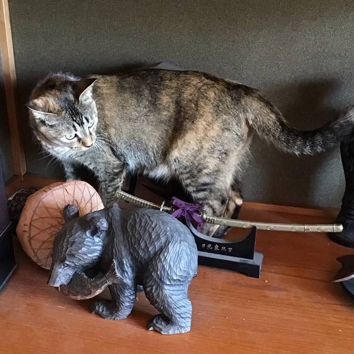 9e18fcdc 8c98 43b7 b0e3 c353bb4019a1 1627176601436