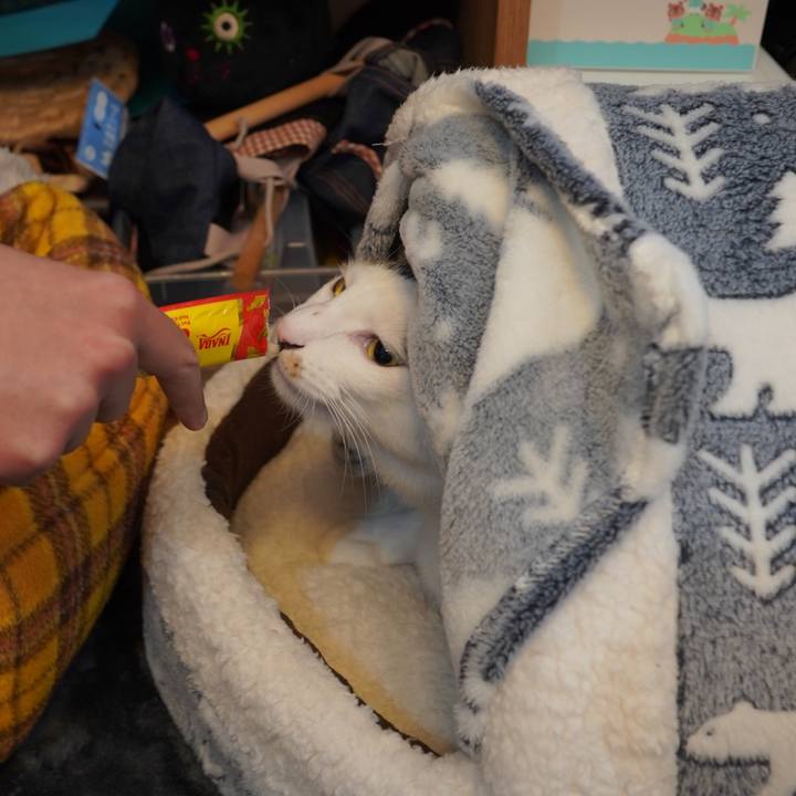 9e1905e3 4b37 4582 80bd 50616141838e 1607132923764