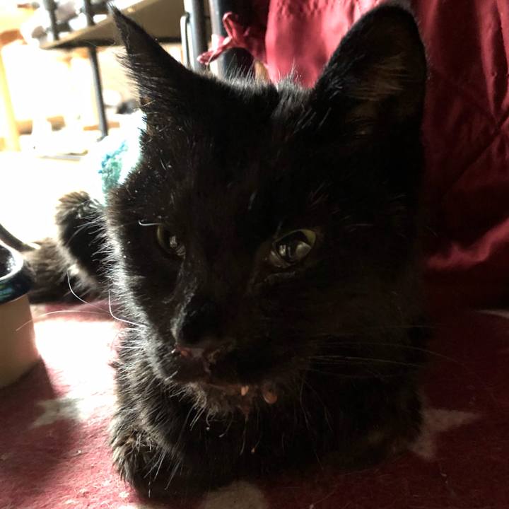 9e194d8b 415f 4e8a 851f b1f9d75359bb 1647468784785