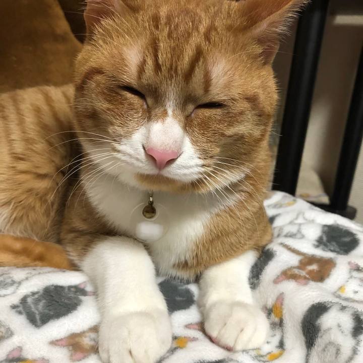 9e19520f a907 4185 a7be 05fbe6d6e193 1555077359480