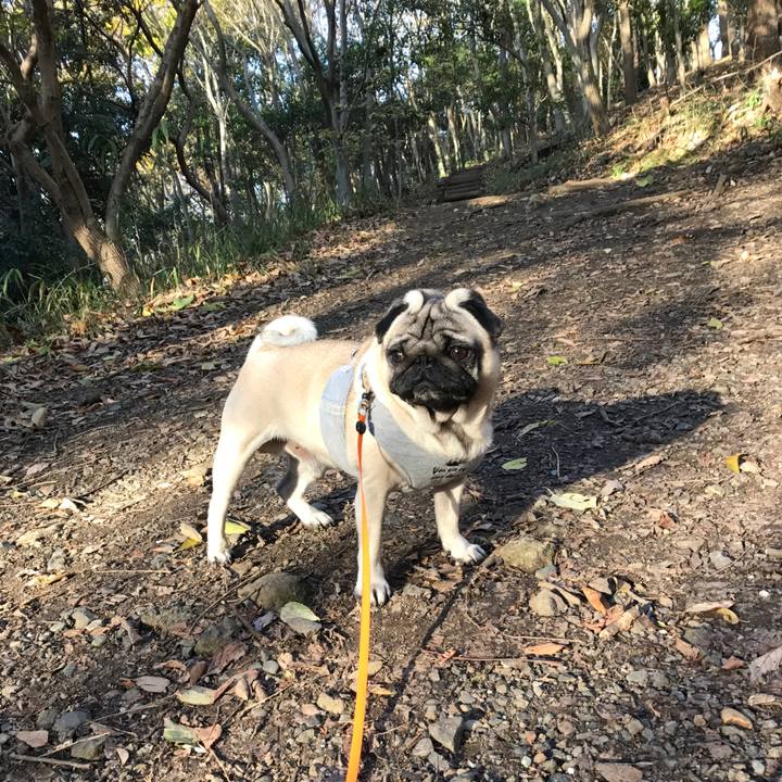 9e1953f9 97b6 4723 8b1d bc19cf42aa23 1511681917429