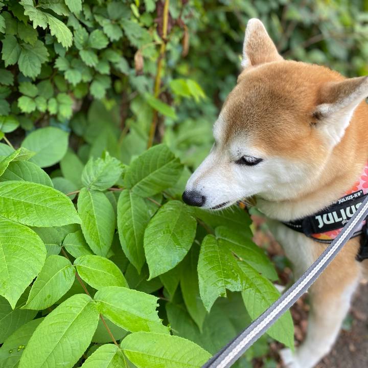 9e1954bb 960b 496d abd4 a7e6ad4d44d2 1630983257867