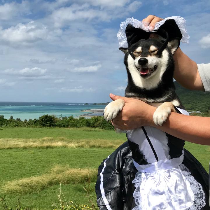 9e196700 308e 481e 8675 3fb023c53071 1509431229115