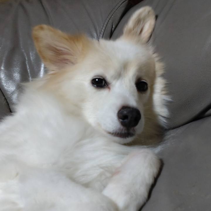 9e1985be ff4f 43e2 9efb 2b1c584871ef 1663972790743