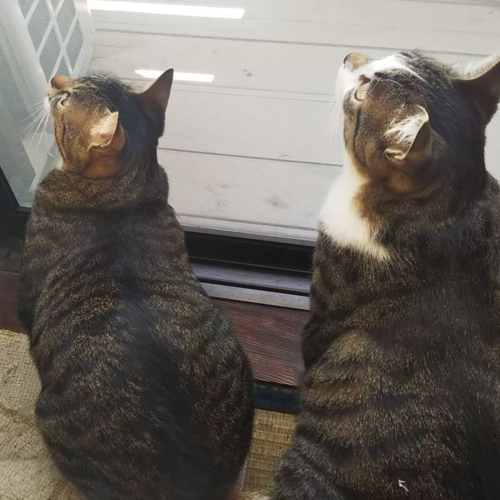 9e19b988 31b7 47c7 ab4a d6e9f4bf3f4a 1602677569869