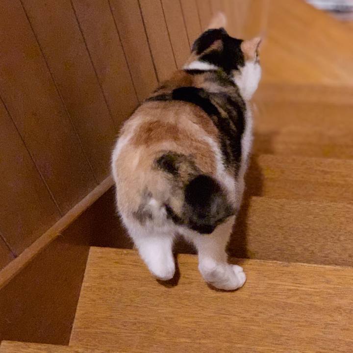 9e19bb7a c744 46bb ada5 95c99af8b114 1543804074387