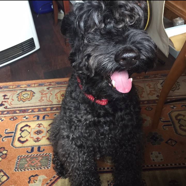 9e19ed6b 46be 4dea a8bf 73c110b9f0f7 1554774828354