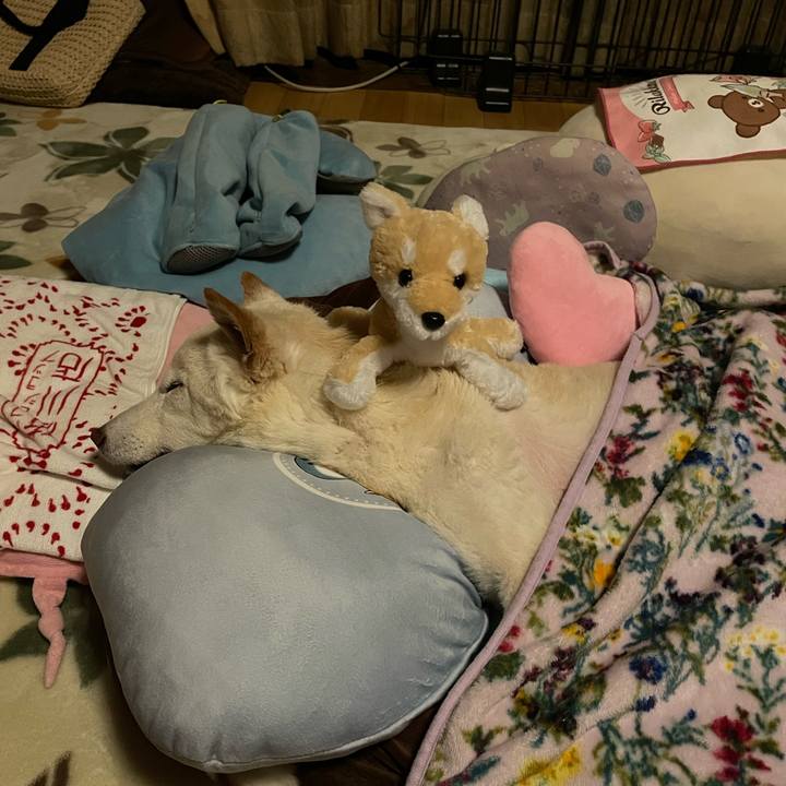 9e19ff4a 4366 4027 9714 c9342635bd02 1679493679587