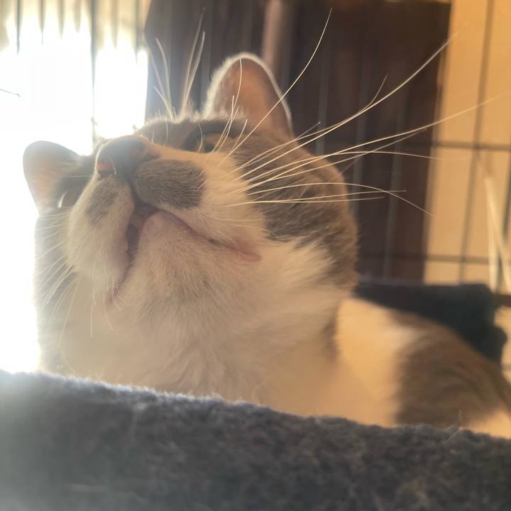 9e1a007f 7174 4d38 b3a5 0f6cd2705d16 1700698155015