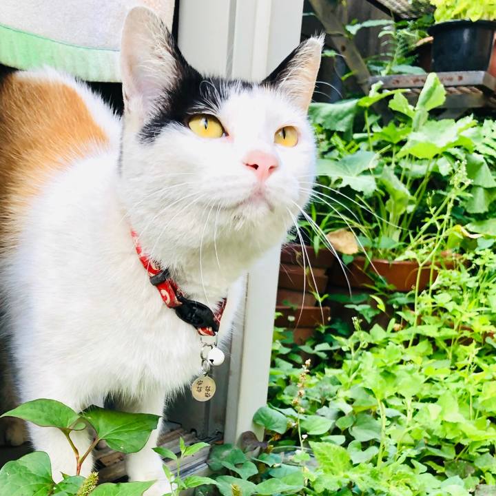 9e1a0e7f dcaa 4e3d 8d29 93fa1e07bf9b 1688296826455