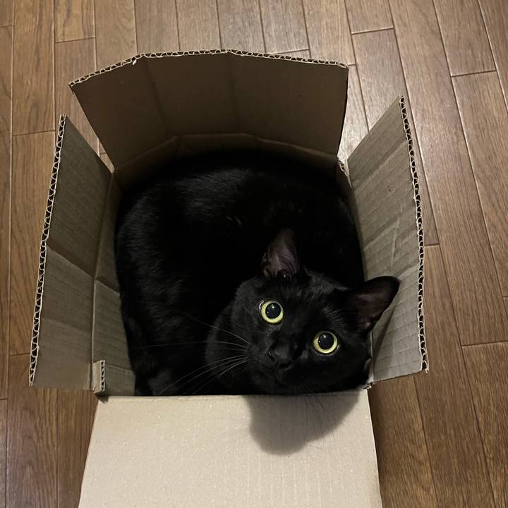 9e1a28b1 99d1 489e a602 4b9a85743d5c 1758364289379