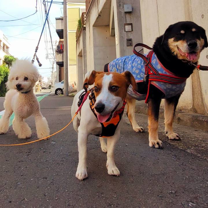 9e1a2d36 417e 45cf a5a0 5c7c431ddcf8 1695252781639