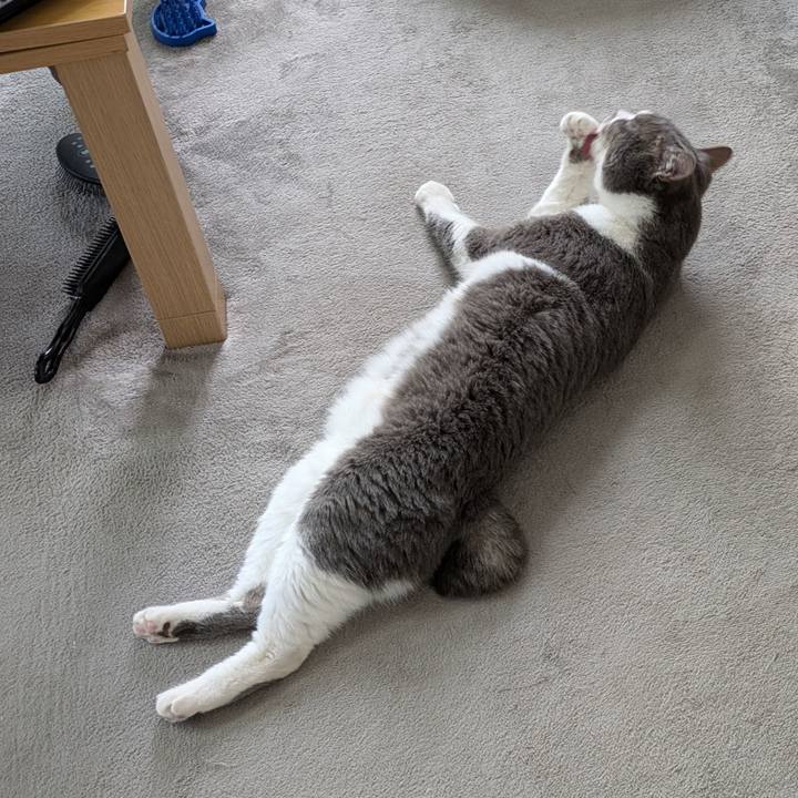 9e1a5f25 6c72 486d 9b04 274f255f6c9e 1746943527085