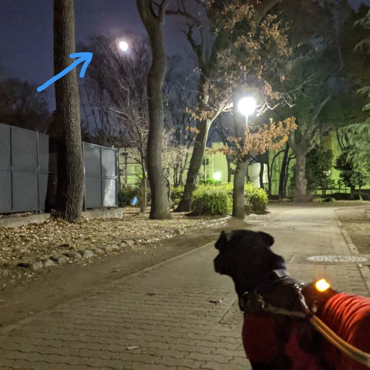 9e1a8e9a 7b99 4e71 8f9f bf937d5328d5 1642504131865