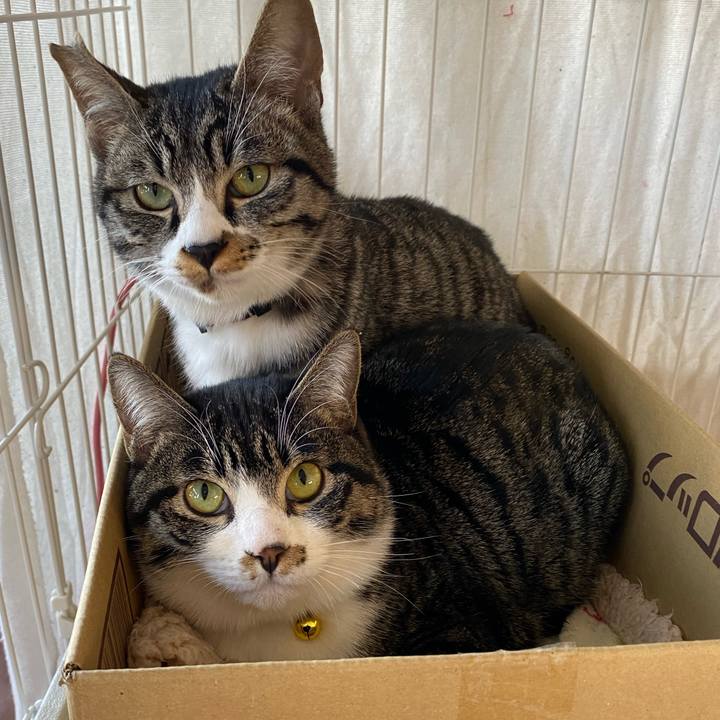 9e1aad0b 538d 4f07 9907 18d7444e7a2c 1705370444110