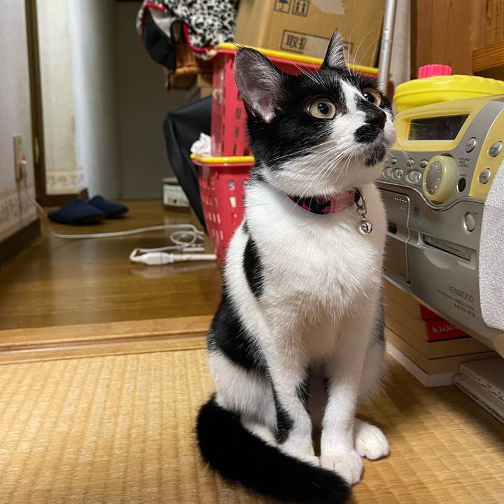 9e1ab538 18d7 4045 9a4d 521db95f64b4 1712876378687