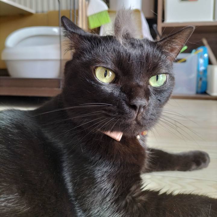 9e1ace54 a473 4d29 83b5 37cdd7b5b1f6 1660352208092