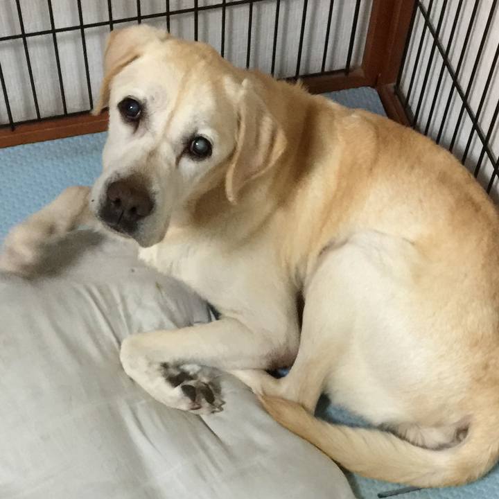 9e1b3859 8188 4f8f a9b0 674e990da71d 1545134450462