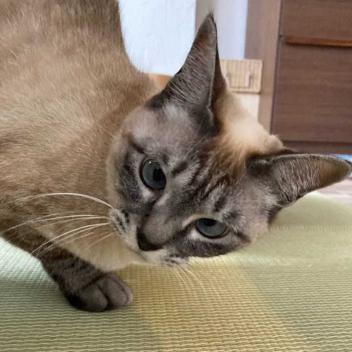 9e1b447e 6fff 4cb5 818f a39471791e2c 1643244831484