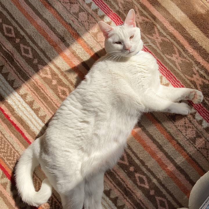 9e1b552e 3a8c 40ee b837 9f6d8f5d0e30 1675480321090