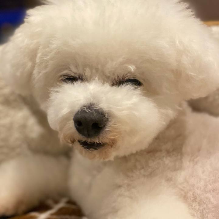 9e1b56da b8a3 4b04 9596 d9fc1c202dbe 1702889493684