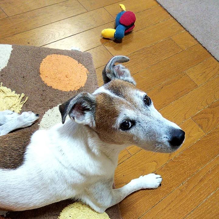 9e1b7268 defa 4489 819e a097453b9b52 1564525639444