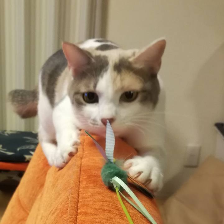 9e1b750a 7bda 441e 9e7a 0cfe14eccec3 1543138302434