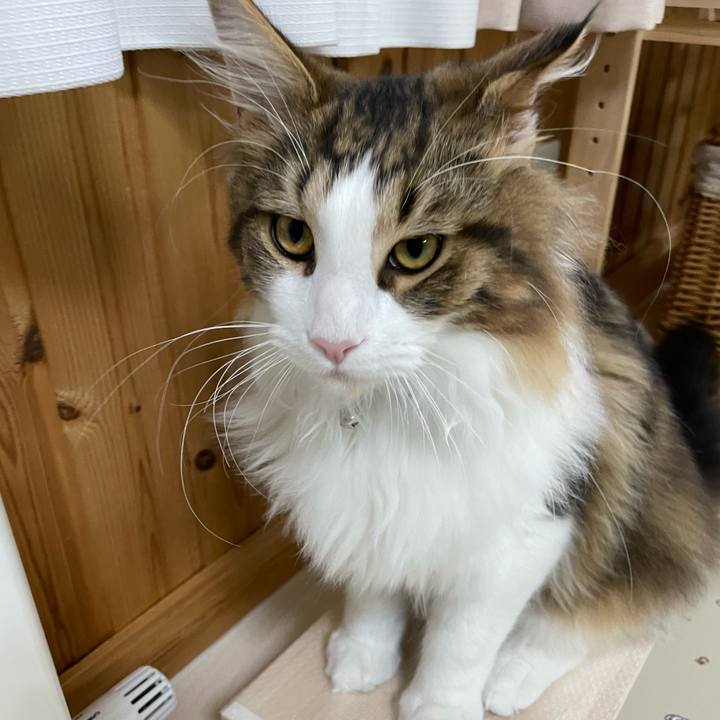 9e1ba1ef ab30 400f a5d8 25e203d53e12 1640549380843