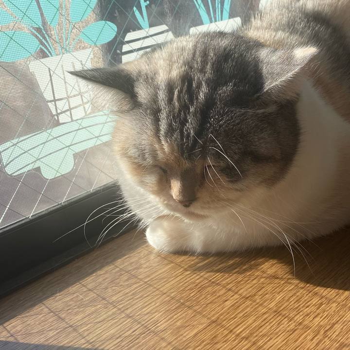 9e1bace1 9926 442e ae0f e5f03aaccc61 1670116267719