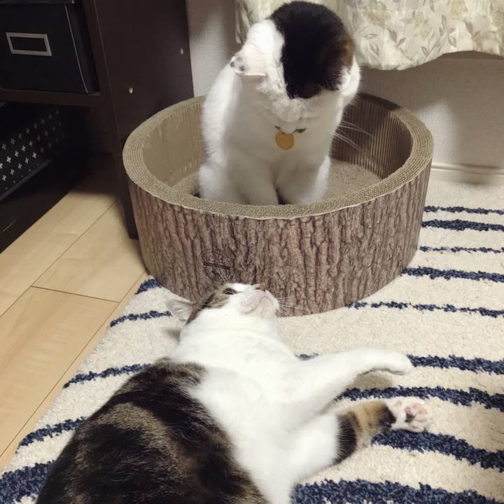 9e1bb42b bade 4aeb 8a9f cd21761de178 1569648109033