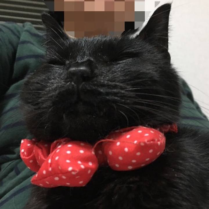 9e1bbb7b df53 49cc 86b4 02acab3735a8 1574594517598