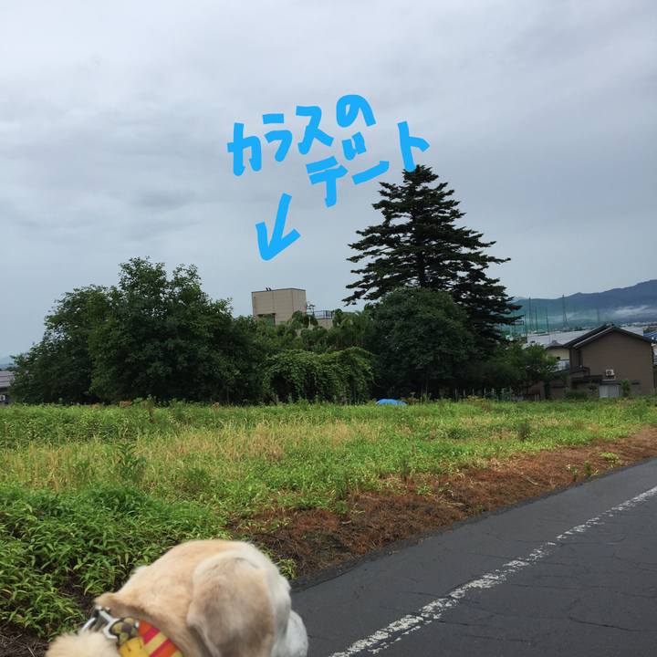 9e1bf8b6 4f1c 4140 b461 1b682225e463 1530967508737