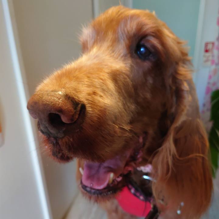 9e1c1ced 5613 4db3 8b71 44e1254589d8 1674261903004