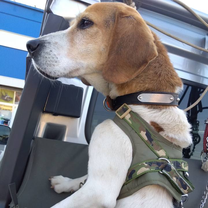 9e1c2a19 6501 406e a38d 2257cb6c990a 1711118079253