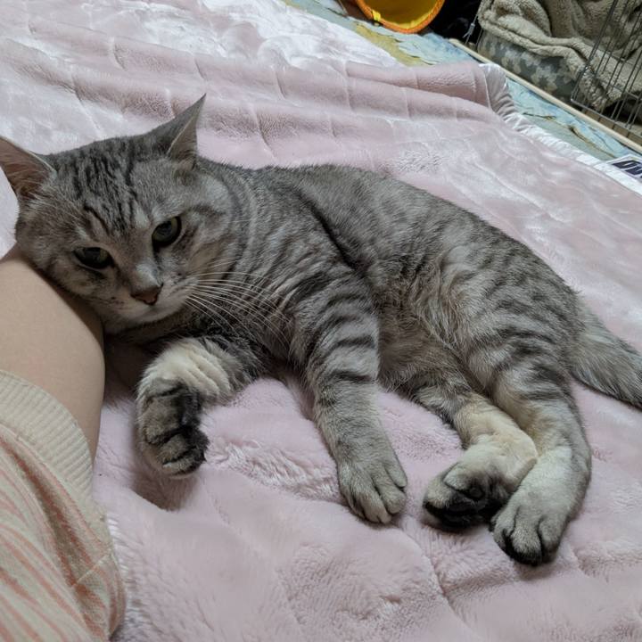 9e1c3ae8 f19d 4cd1 86a8 737daf898b54 1746720191633