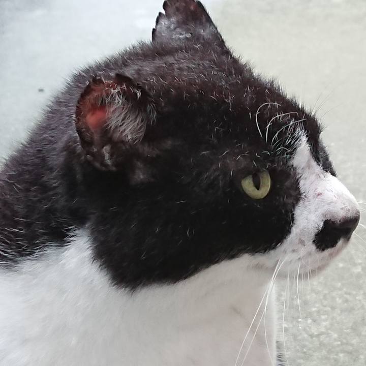 9e1c63a7 bf9b 4f48 a6f5 07e332504ea4 1628926002267