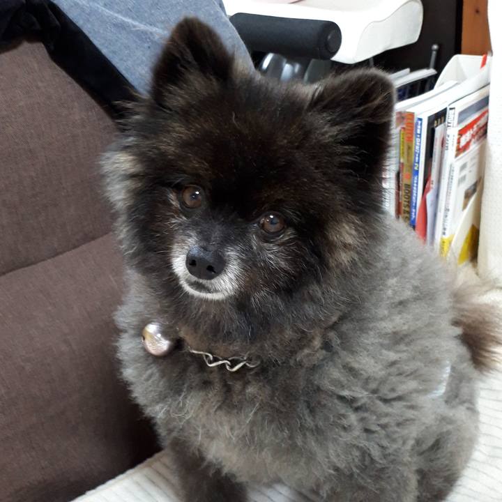 9e1cb440 7cfe 4247 9a9b f95b0382d6a2 1542744437621