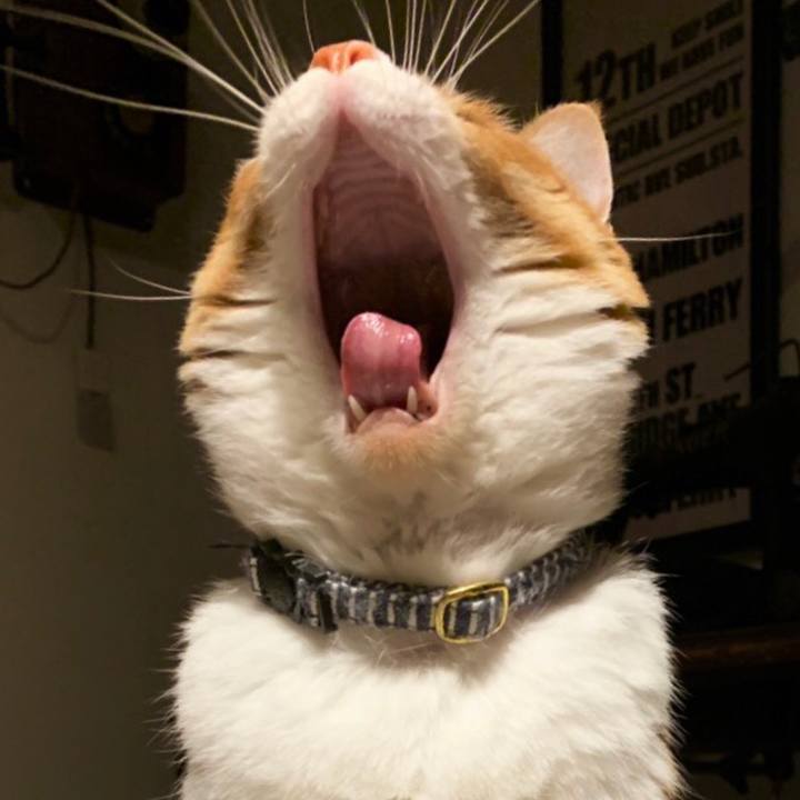 9e1cb646 b0fb 4212 903b 7ba768b28d17 1554509196151