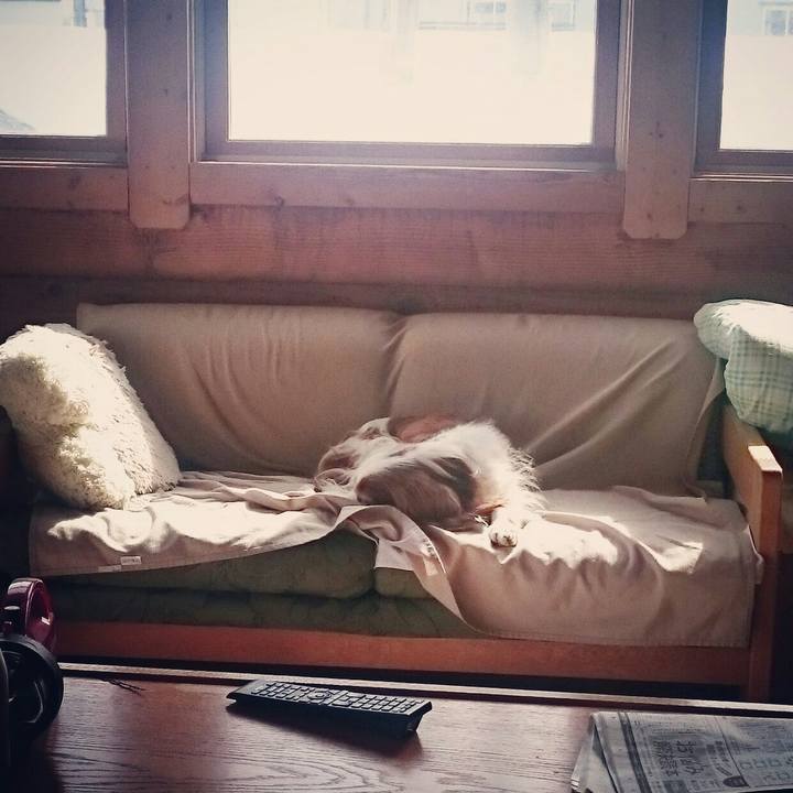 9e1d0470 2207 4424 98c0 a2653483939c 1520399465539