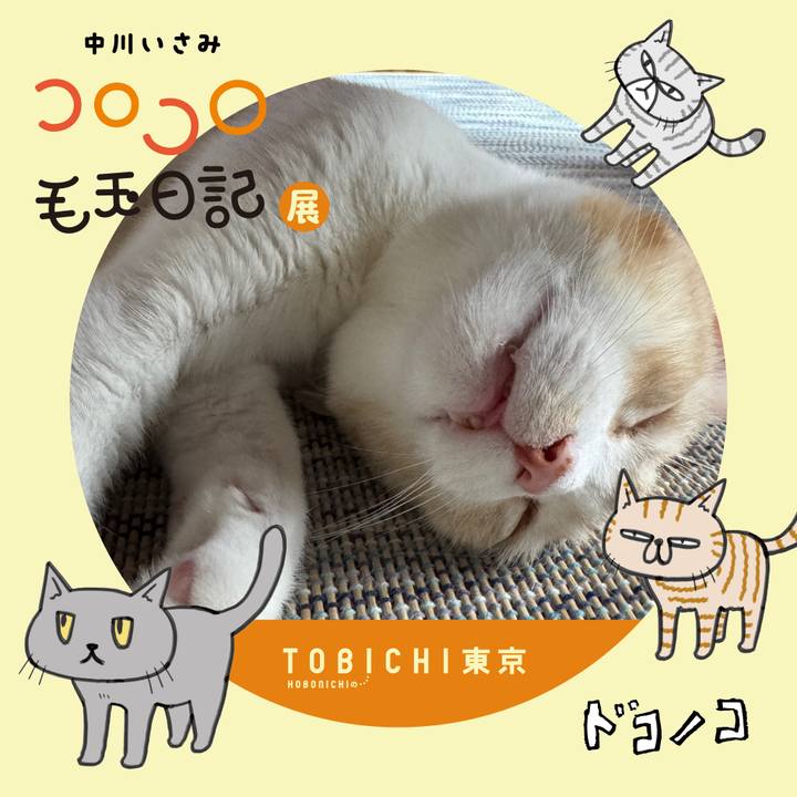 9e1d2041 91f7 42a8 be39 407fb90d76a0 1740186253862