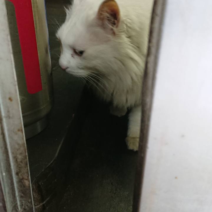 9e1d27d5 3ab7 462e a737 22fcc824eb7c 1559082524939