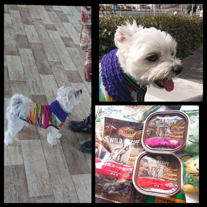 9e1d2a23 f99a 4365 80f6 d073b613c611 1540701972646